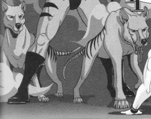 Two thylacines.