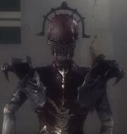 Rivera (Mado Horror Form's backside)