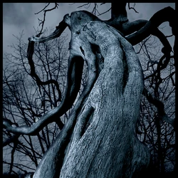 Loup Garou L Apocalypse Wiki Fandom