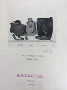 Image20.jpg (1.14 MB) Much of the Same.