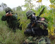 Two serbian M3s in a demonstration/PR photo of the Serbian Armed Forces