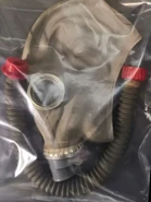 Size 5 TF-1. The largest and arguably the rarest size.