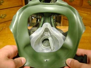 Inside of the mask