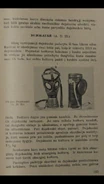 A paragraph and official picture of the A.D.35 in an interwar Lithuanian booklet "Pirmoji Pagalba : kariuomenės sanitarų mokymas"
