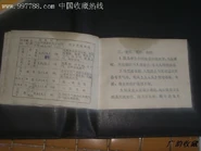 5chinashlemmie.jpg (38 KB)