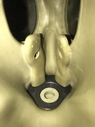 Inside the mask (notice the lack of anti fog inserts)