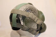 Head harness
