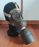 The mask with the filter inserted