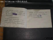 4chinashlemmie.jpg (40 KB)