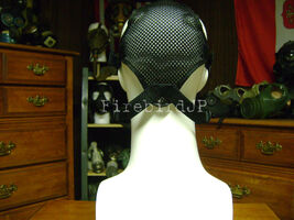 Mesh head harness