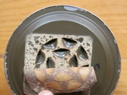 Intakes of the filter.