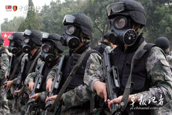 Mf 22 Gas Mask And Respirator Wiki Fandom