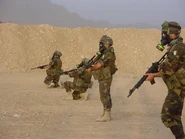 Italian soldiers with M90 gas masks