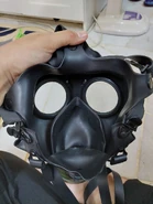 Inner look of the mask