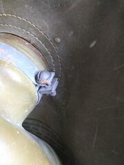 Invalidclamp