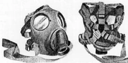 Authentic picture showing the head harness