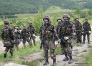 Slovenian soldiers wearing M95 gas masks.