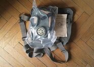 Factory sealed gas mask and the technical sheet