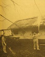 PV decontamination exercise of a farmyard. (1973)