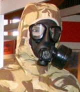 M-2F Mask