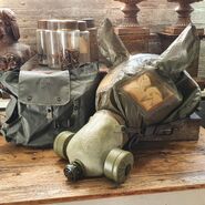 Yugoslavian horse gas mask kit from the collection of bonife