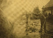 PV decontamination exercise of a farmyard. (1973)