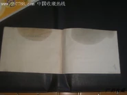 6chinashlemmie.jpg (26 KB)