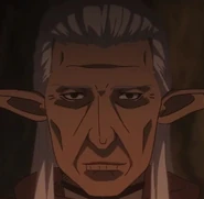 A male Dark Elf elder.