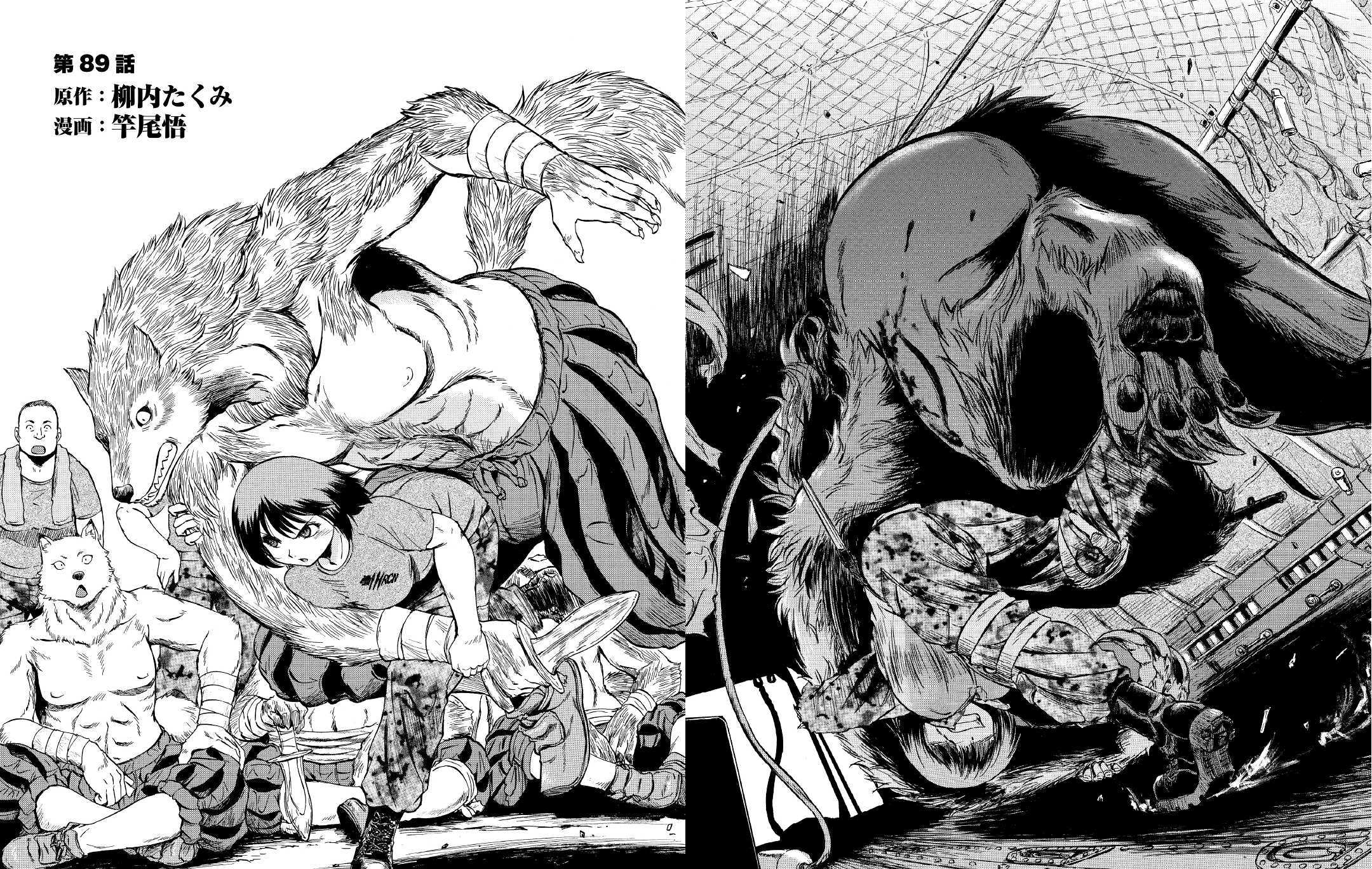 Gate - Thus the JSDF Fought There  Novel vs Light Novel vs Manga