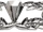 Ranger