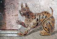 Mosaico antiguo de un gato