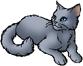 Estrela Azul, Wiki Gatos Guerreiros