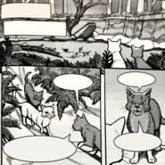 Campamento del Viejo Bosque