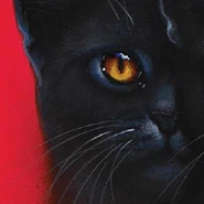 Nubenegra.png (61 kB) Nube Negra en The ultimate Guide