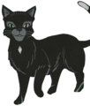 Cuervo en Graystripe´s Adventure