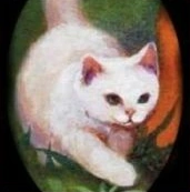 Nimbo Blanco.png (47 kB) Nimbo Blanco en la portada de Antes de la tormenta