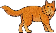 Leonado como guerrero