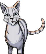 Mintkit en Skyclan and the Stranger