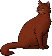 Pinestar como líder