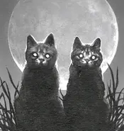 Estrella de Fuego en los capítulos de Los cuatro clanes