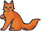 Foxpaw como aprendiza