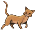 Tormenta de Arena en Ravenpaw's Path