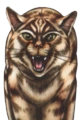 Estrella de Tigre en la portada de Escape from the Forest