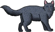 Chubasco como guerrero