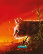 Espinela.webp (98 kB) Espinela en The ultimate guide: Updated and Expanded edition