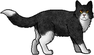 Palomera.guerrera.png (26 kB) Palomera como guerrera