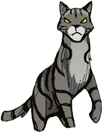 Cebrado.EFS.webp (57 kB) Cebrado en Exile from ShadowClan