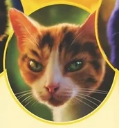 Trigueña en la portada de Tawnypelt's Clan