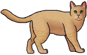 gatos guerreros tormenta de arena y estrella de fuego