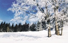 Consejos-salud-invierno